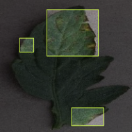 Plant Doc: On-Device Plant Disease Detection screenshot 2